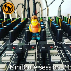 150319-MiniBrute session #1