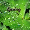 Bouncy Afro Swing Beat | NSG X Loski X Tion Wayne Beat - Spring