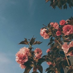 Mùa đông chưa đặt tên - Lux x Pmax