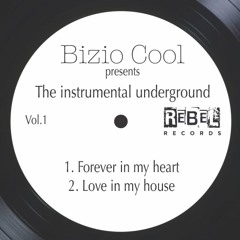 Bizio Cool_Love in my house