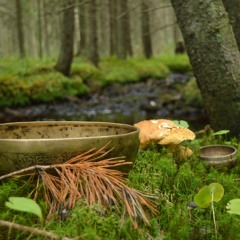 Soundbath Tranquility 46 min