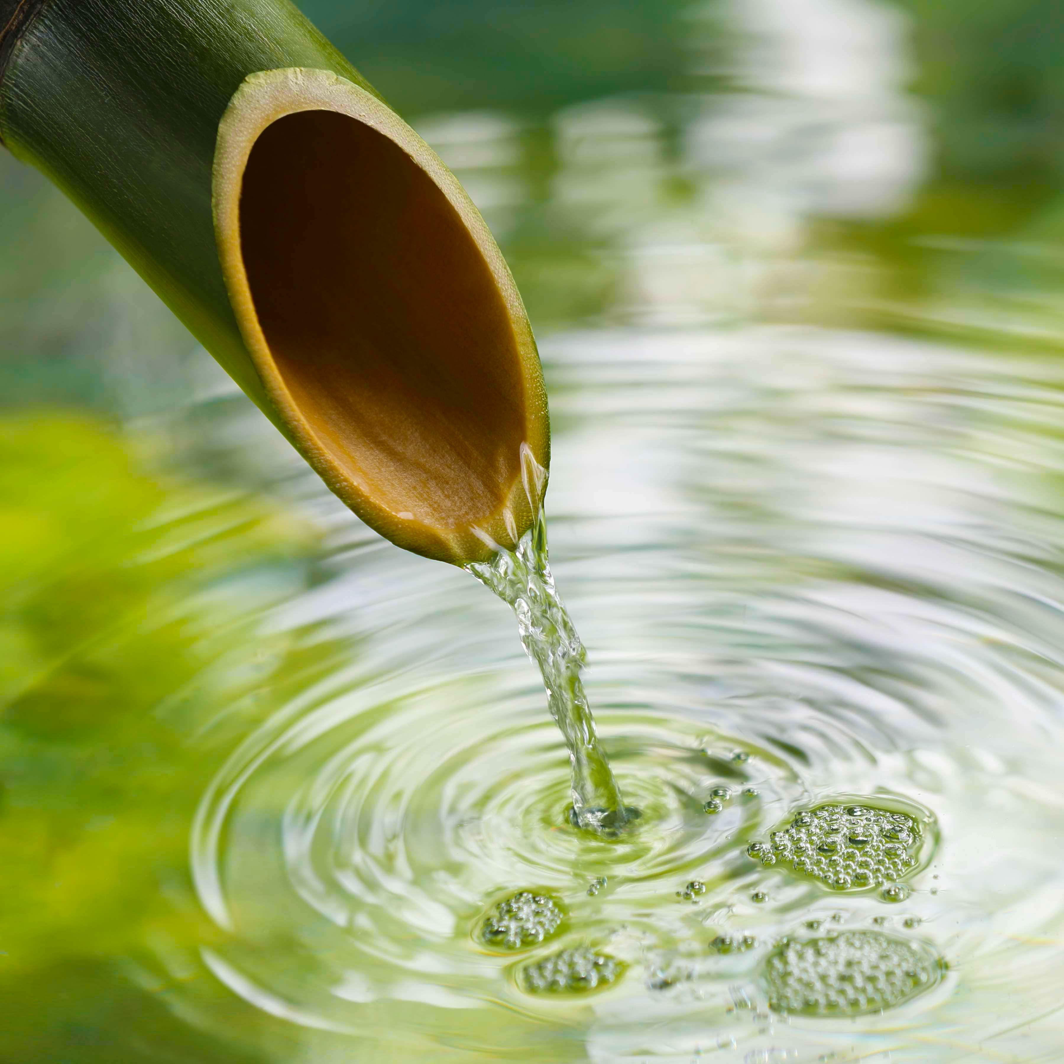 Download Bamboo Water Fountain Sounds for Sleeping or Studying (5 Hours