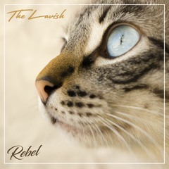 TheLavish - Rebel