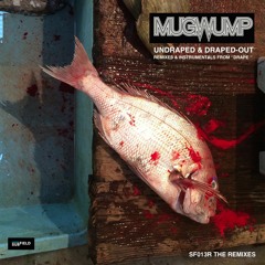 Mugwump - The Flag- Max Pask remix - SF013R