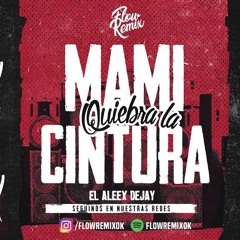 MAMI QUIEBRA LA CINTURA ⚡ El Aleex Deejay