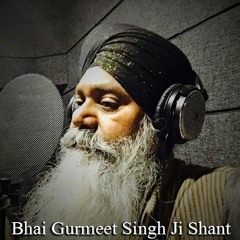 Pita Parbhram Prabh Dhani, Raag Basant Hindol (Bhai Gurmeet Singh Ji Shant)