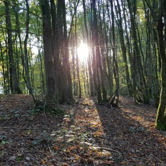 Cover - Emmanuel Moire - Beau Malheur