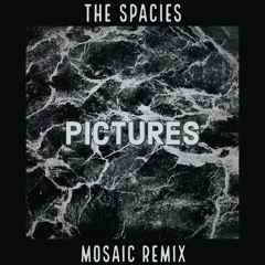 The Spacies - Pictures (Noahphella Remix)