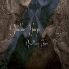 Shabboo Harper - Breathing Blue (Snippet) [Speedsound REC.]