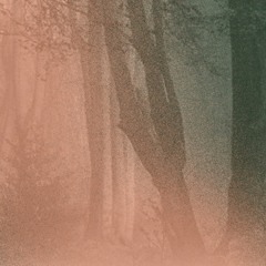 OP1-March-Side B (Dusk)