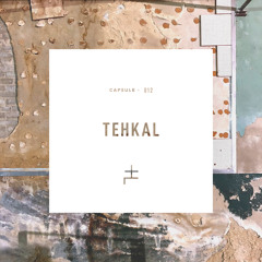 CAPSULE 012 : TEHKAL