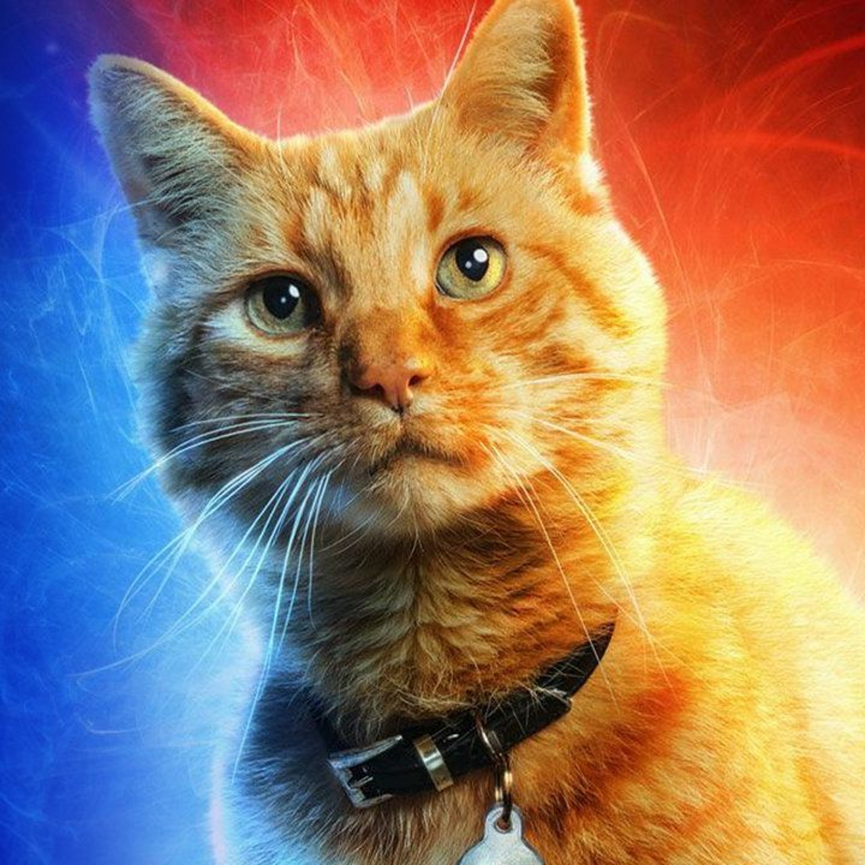 Spoilers!