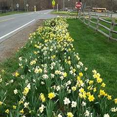 Touch Somebody's Heart