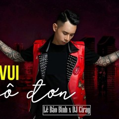 Cuộc Vui Cô Đơn Remix - Lê Bảo Bình x DJ Ciray