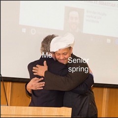 Schebbos 2019