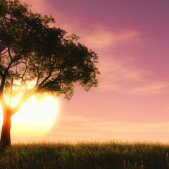 Observing Emotion Without Judgement