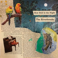 How Still Is the Night