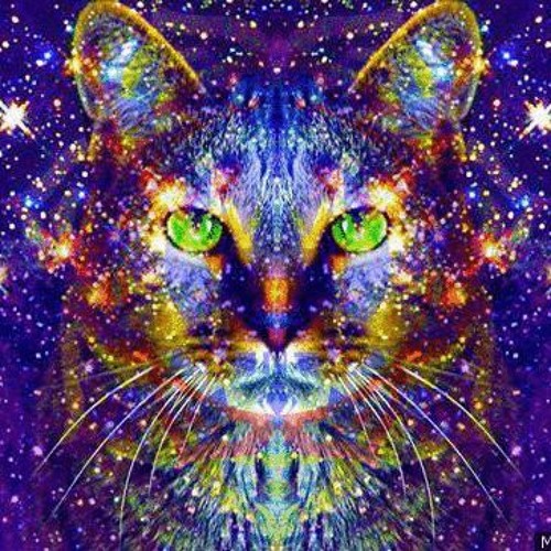 Erotic Space Cats Invasion Remix