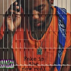 Fake Is The New Real - tbreez(official audio) beat prod. By just sickk