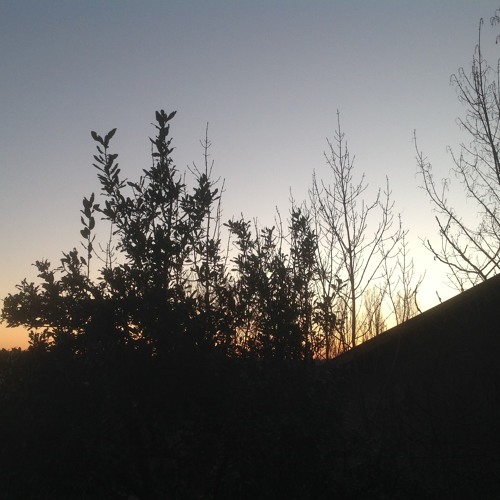 A new sound ?