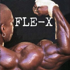FLE-X