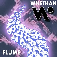 FLUME X WHETHAN (Live Mix)