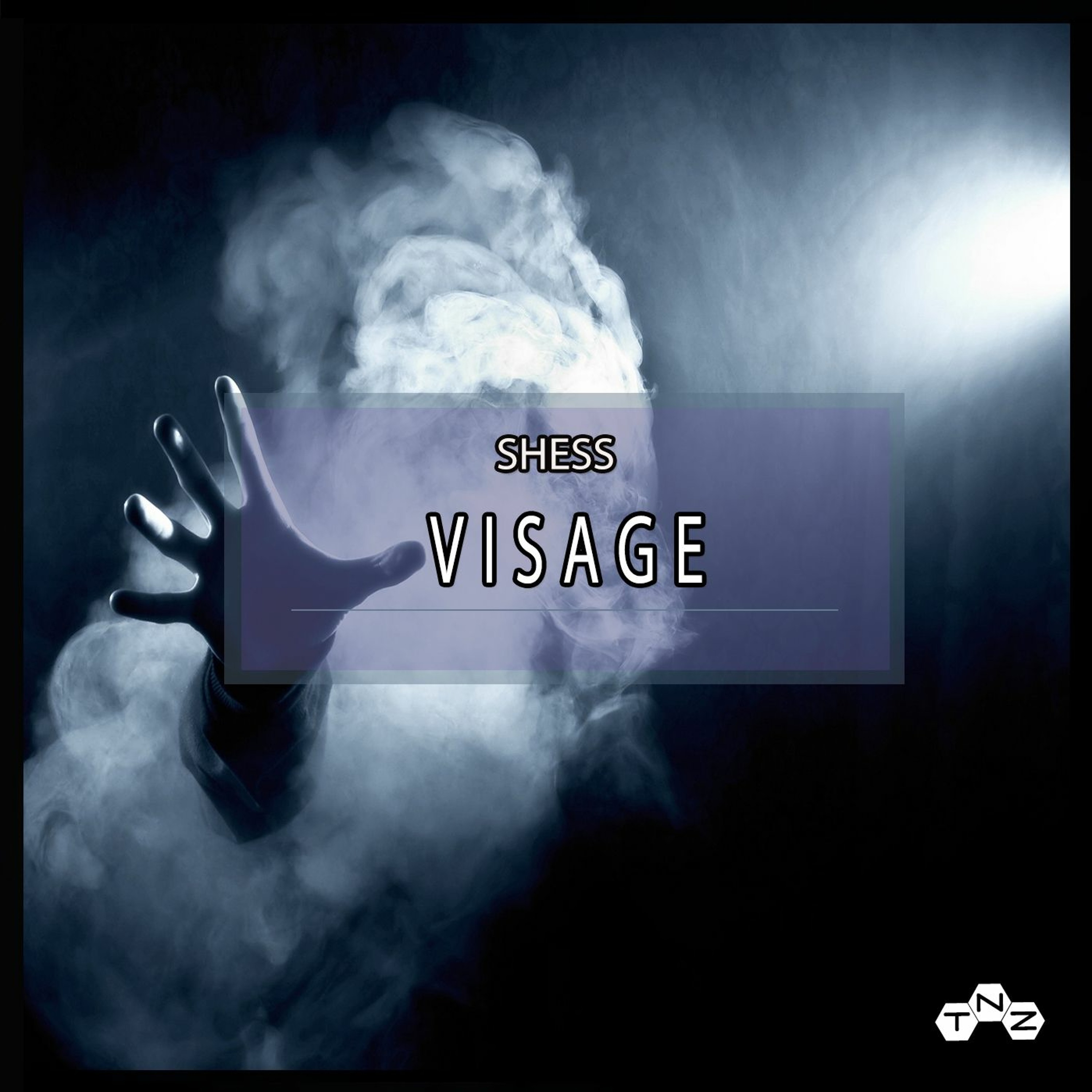 VISAGE (Original Mix) SHESS episode artwork