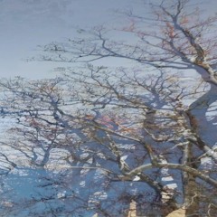 Emily Loves Snow - Lonely Is My Name