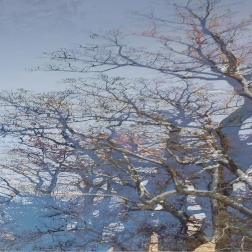 Emily Loves Snow - Lonely Is My Name