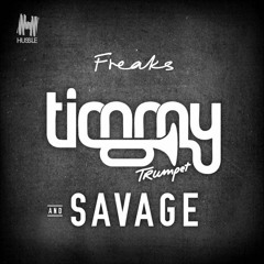 Timmy Trumpet & Savage - Freaks (Avills Remix)