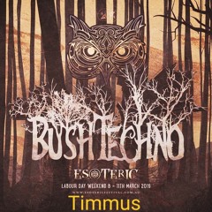Timmus - Esoteric Festival 2019_Bush Techno Stage