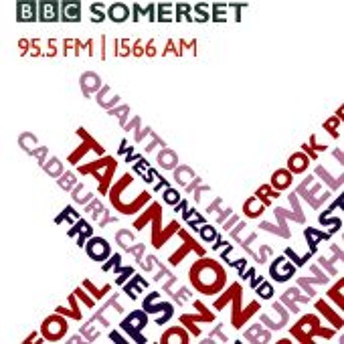 Stream episode Ian Wilmshurst's Radio Interview About Her Majesty Opening  The Music School - BBC Radio Somerset by King's Bruton podcast | Listen  online for free on SoundCloud