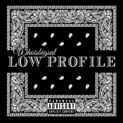 Whoisbigsal - Low Profile