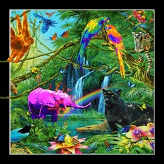 𝐀𝐧𝐢𝐦𝐚𝐮✘