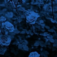 lil bo weep - 4am Loops