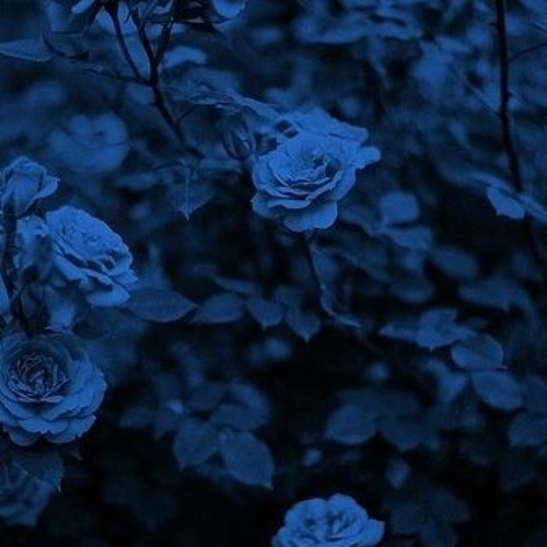 lil bo weep - 4am Loops