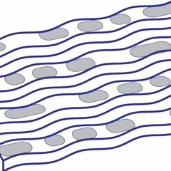 Scribbles in the sketch pad [unmastered sketch]