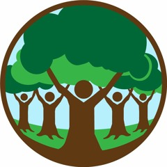 Meditation For Beginners