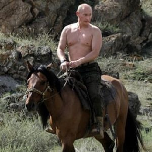 Stream Vladimir Putin Life Coach by Whad'ya Know Podcast | Listen online  for free on SoundCloud