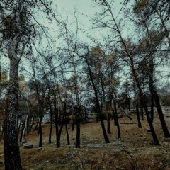 use you. (feat. EMPTY GRAVES)