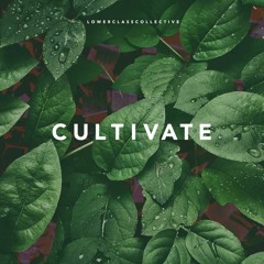 Lower Class Collective: Cultivate