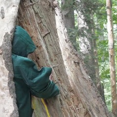 I will take a few deep breathes and find a new way of thinking about it