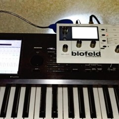 Waldorf Time