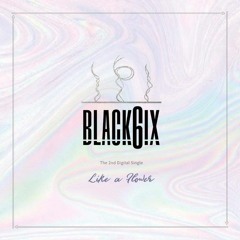 블랙식스 (BLACK6IX) - Like A Flower