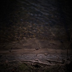Roots And Ripples (Matthies & Karris album preview)