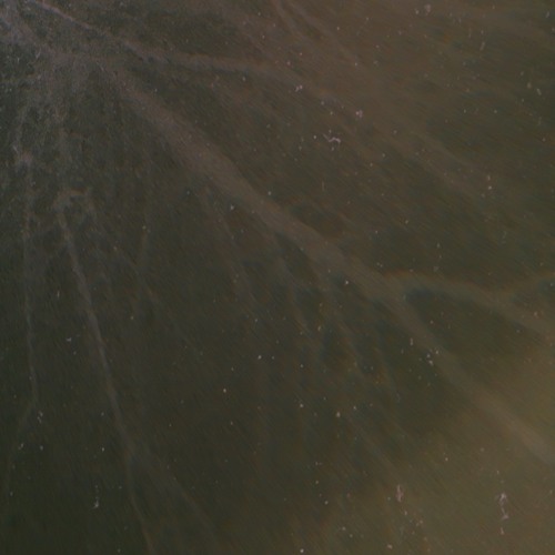 I Just Wanna Run Away By Guys And Ghosts On Soundcloud Hear The World S Sounds