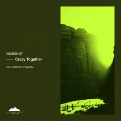 Niceshot - Crazy Together (Dynacom Remix)