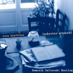 Ludovico Einaudi - Una Mattina (Dominik Saltevski Bootleg)