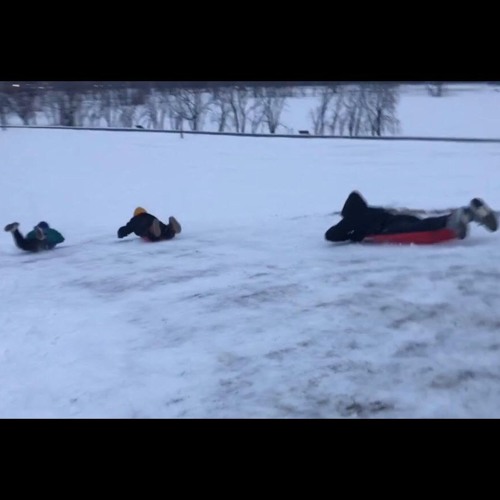 polar vorteX (its cold outside)