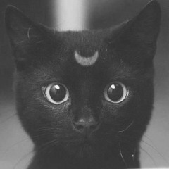 Stufka - Czarne koty [+Infi]